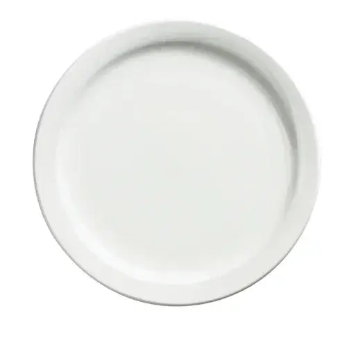 Browne Palm 9" Dinner Plate – 24 Per Case (563964) 1