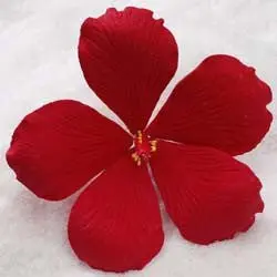 Large Red Hibiscus Gumpaste Flower 1