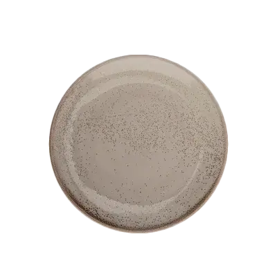 Oneida Terra Verde 10.25" Coupe Dinner Plate – Natural Porcelain 1